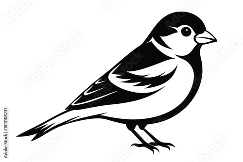 goldfinch silhouette line art vector illustration with a white background