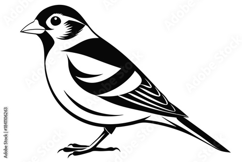 goldfinch silhouette line art vector illustration with a white background