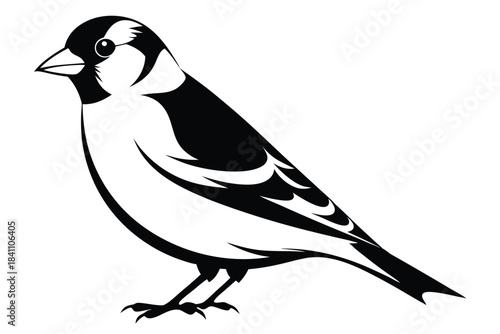 goldfinch silhouette line art vector illustration with a white background