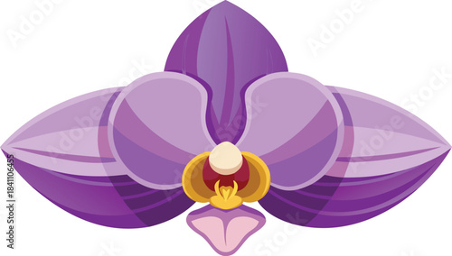 Vibrant purple orchid flower illustration isolated on white background