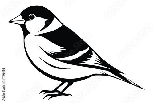 goldfinch silhouette line art vector illustration with a white background