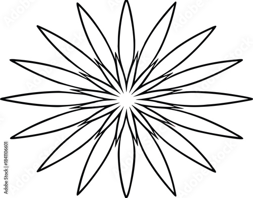 Geometric starburst pattern with repeating petal shapes