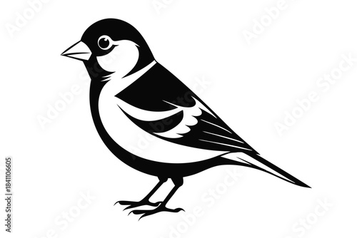 goldfinch silhouette line art vector illustration with a white background