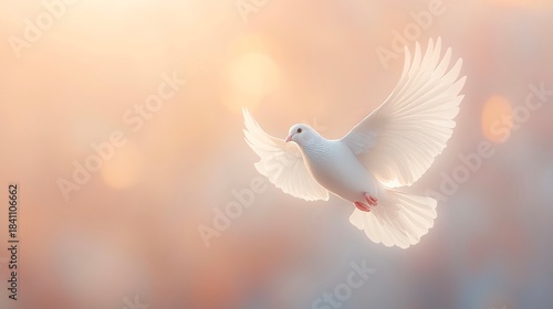 White dove flying at golden sunset with copy space for text/image. 