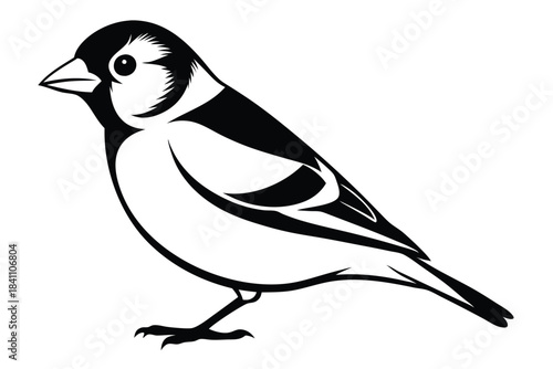 goldfinch silhouette line art vector illustration with a white background