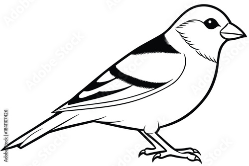goldfinch silhouette line art vector illustration with a white background