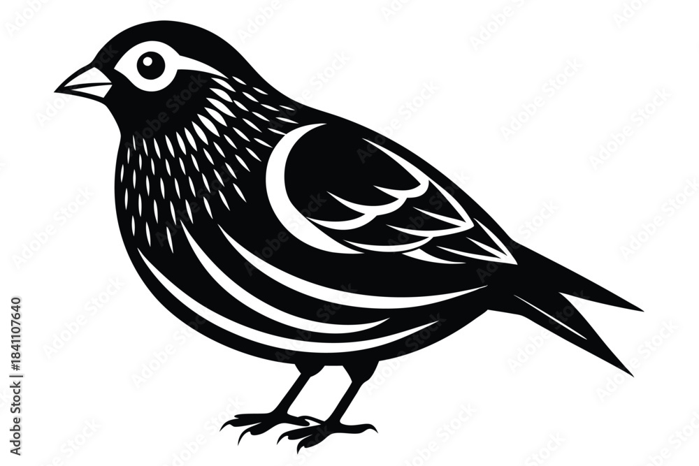 Obraz premium finch silhouette line art vector illustration with a white background
