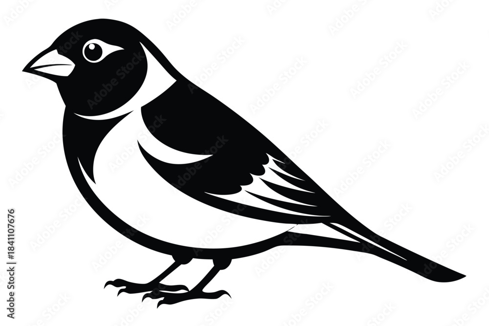 Obraz premium finch silhouette line art vector illustration with a white background