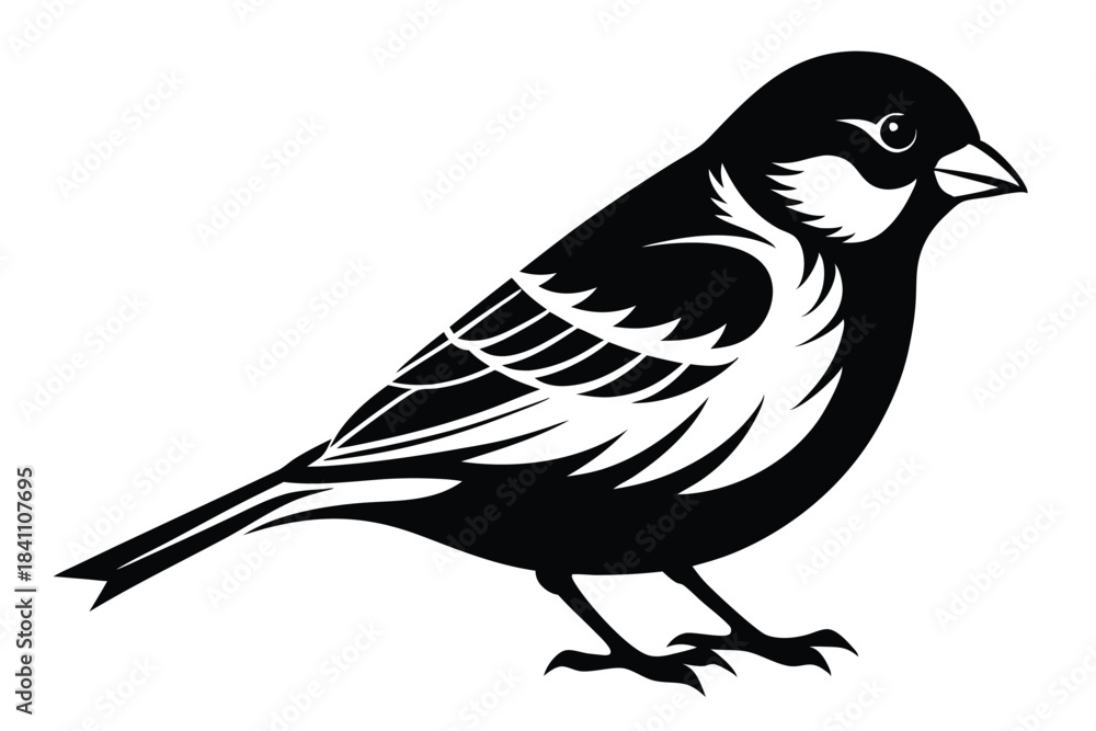 Obraz premium finch silhouette line art vector illustration with a white background