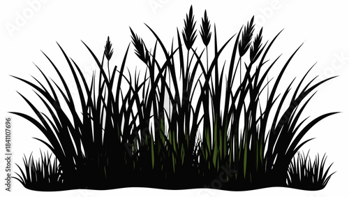 green grass on white background