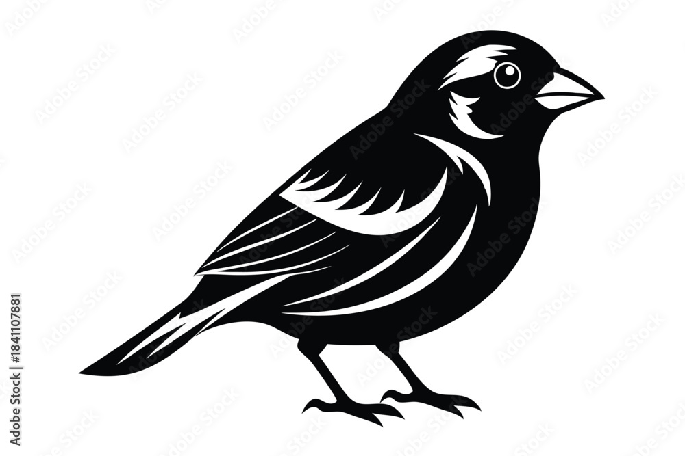 Obraz premium finch silhouette line art vector illustration with a white background