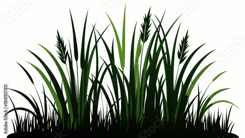 green grass on white background