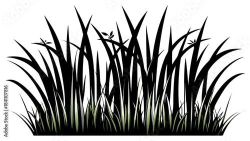 green grass on white background