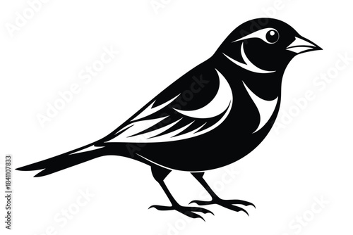 finch silhouette line art vector illustration with a white background