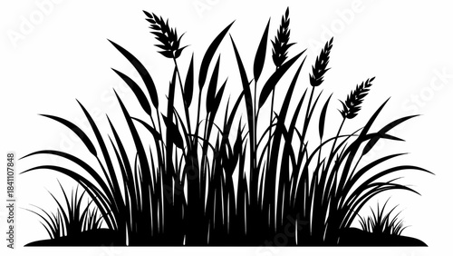 green grass on white background