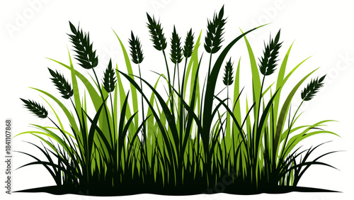 green grass on white background