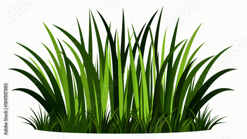 green grass on white background