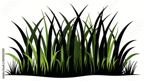 green grass on white background