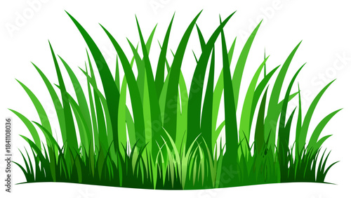 green grass on white background