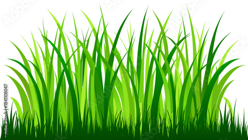 green grass on white background