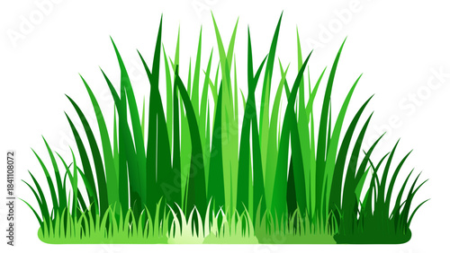 green grass on white background