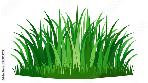green grass on white background