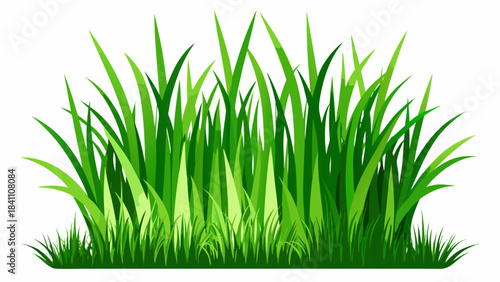 green grass on white background