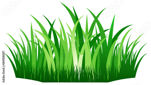 green grass on white background