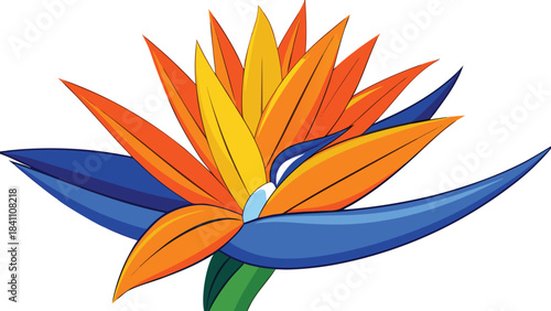 Vibrant bird of paradise flower illustration with blue orange and yellow petals