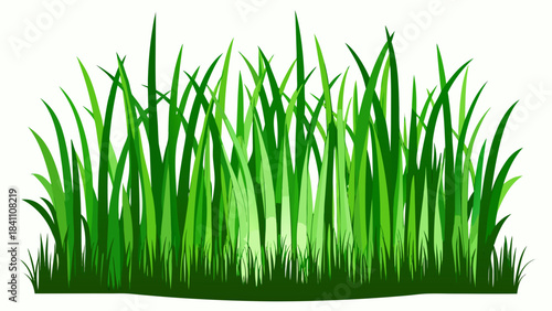 green grass on white background