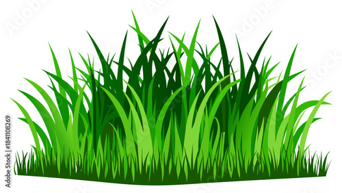 green grass isolated on white background
