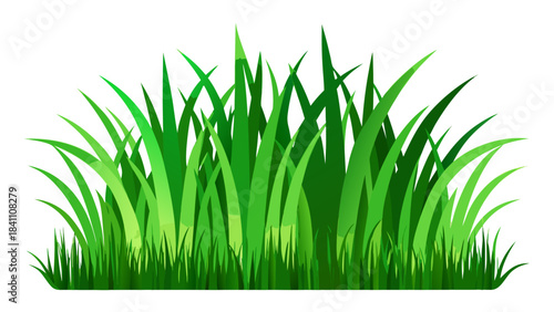 green grass isolated on white background