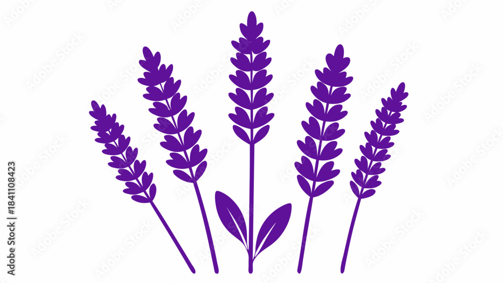 Naklejka premium bunch of lavender flowers