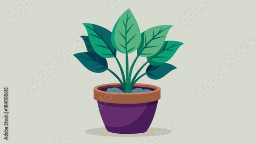 green plant in a pot