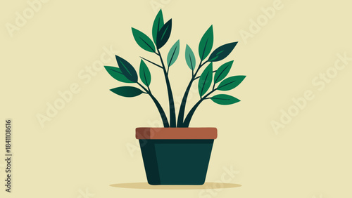 green plant in a pot
