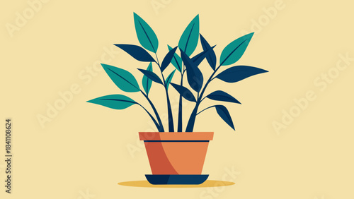 green plant in a pot