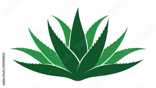 green plant in a pot