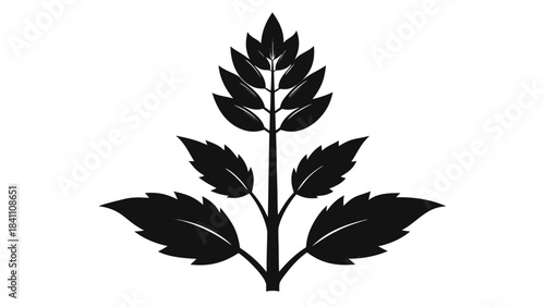 green plant in a pot