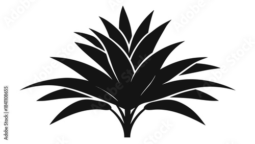 green plant in a pot