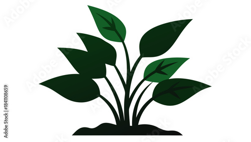 green plant in a pot