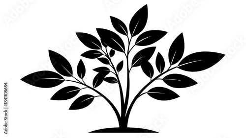 green plant in a pot