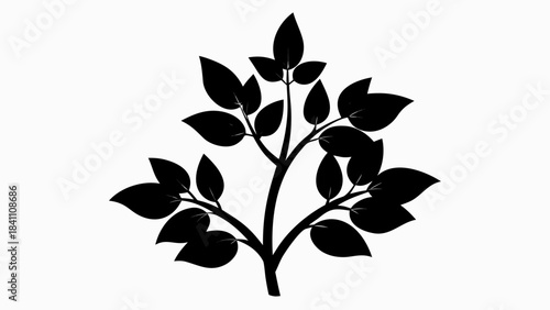 green plant in a pot