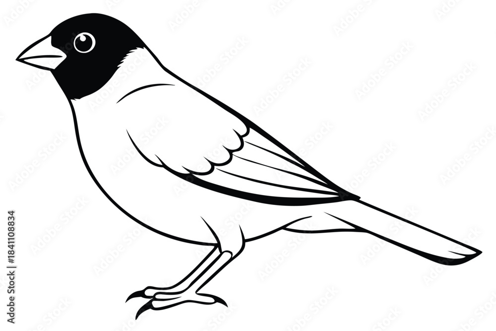 Obraz premium finch silhouette line art vector illustration with a white background