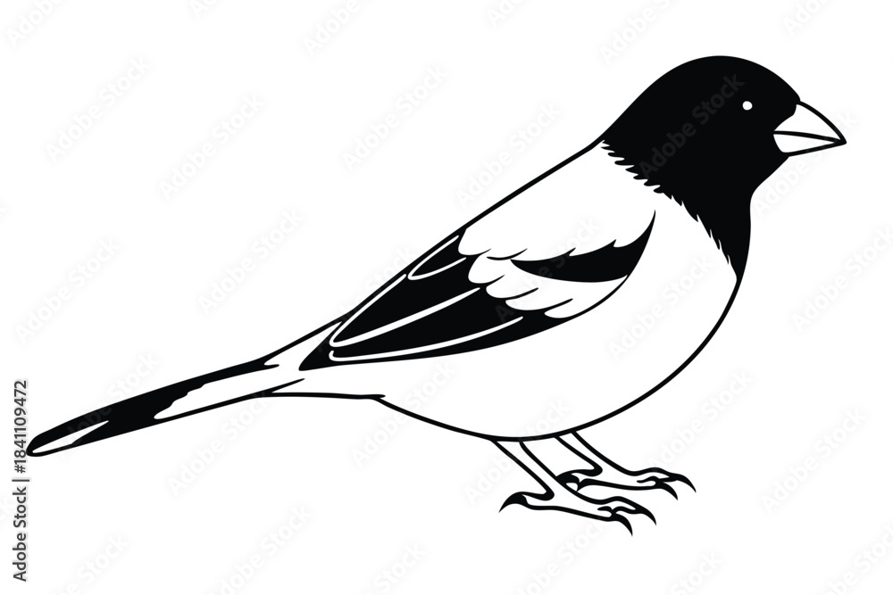 Obraz premium finch silhouette line art vector illustration with a white background