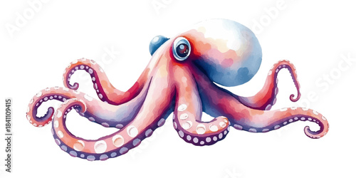 Cute watercolor octopus Sea creatures Marine life Cute cartoon octopus Aquatic fauna Animal sea mollusk,hand drawn, isolated on white background, vector