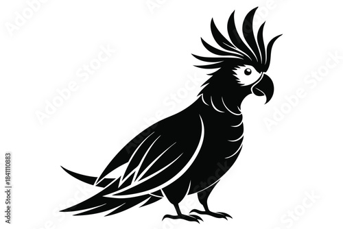 cockatoo silhouette line art vector illustration with a white background
