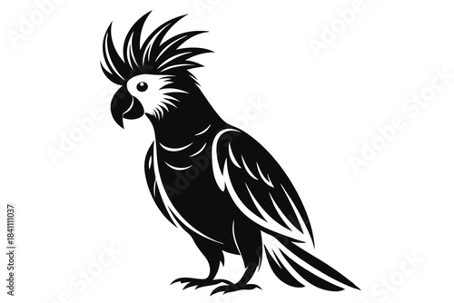 cockatoo silhouette line art vector illustration with a white background
