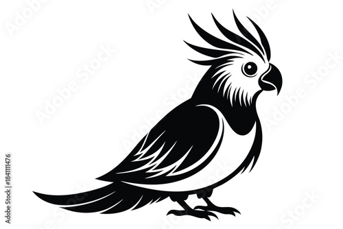 cockatiel silhouette line art vector illustration with a white background