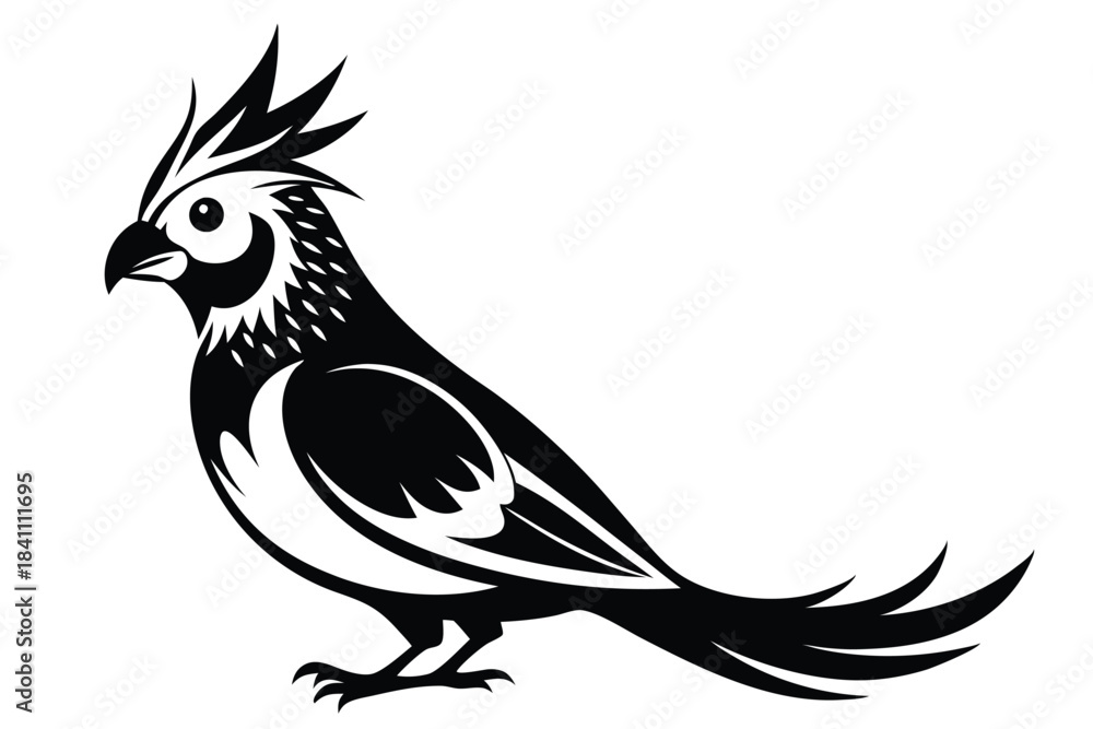 Fototapeta premium cockatiel silhouette line art vector illustration with a white background