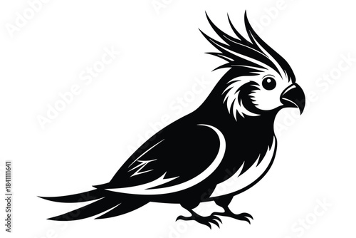 cockatiel silhouette line art vector illustration with a white background